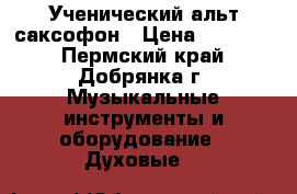 Ученический альт саксофон › Цена ­ 20 000 - Пермский край, Добрянка г. Музыкальные инструменты и оборудование » Духовые   